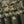 M-Tac Plate Carrier Cuirass Elite