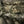 M-Tac Plate Carrier Cuirass Elite
