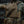 M-Tac Plate Carrier Cuirass Fast Elite