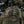 M-Tac Patch Dead Inside PVC
