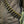 M‑Tac Bandolier Elite