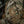 M-Tac Morale Patch Face of war - TRAPSKI
