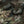 M-Tac Morale Patch Face of war - TRAPSKI