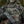 M-Tac Morale Patch Face of war - TRAPSKI
