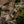 M-Tac Open-Top Pouch PKM Ammo Box Fast