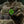 M-Tac Patch Fucking Luck PVC