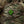 M-Tac Patch Fucking Luck PVC