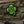 M-Tac Patch Fucking Luck PVC