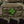 M-Tac Patch Fucking Luck PVC