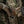 M-Tac Double AR/AK Mag Pouch with Flap
