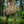 M-Tac Backpack Elite Gen.II Large