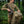 M-Tac Backpack Elite Gen.II Large