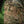 M-Tac Backpack Elite Gen.II Large