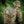 M-Tac Backpack Elite Gen.II Large