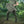M-Tac Backpack Elite Gen.II Large