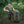 M-Tac Backpack Elite Gen.II Large
