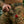 M-Tac Key Holder Elite