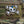 M-Tac Patch Kitty Embroidery