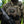 M-Tac Patch Krab PVC