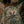 M-Tac Patch MG Operator PVC