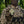 M-Tac Patch MG Operator PVC