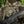 M-Tac Patch MG Operator PVC