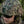 M-Tac Helmet Alder Cover