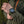 M-Tac Tactical Watch Multifunction