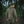 M‑Tac Pilgrim Jacket