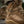 M-Tac Tactical Boots Demi-Season Pro Line