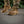 M-Tac Tactical Sneakers Demi-Season Pro Line