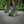 M-Tac Tactical Sneakers Demi-Season Pro Line