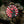 M-Tac Patch Samurai’s Path PVC