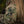 M-Tac Patch Queen of Spades Ornament