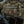 M-Tac Patch Ornament Poppy Embroidery