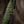 M-Tac Lanyard Scandinavian Mannaz