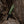 M-Tac Lanyard Scandinavian Mannaz