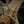 M-Tac Scout Tactical Mk.2 Leather Gloves