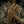 M-Tac Scout Tactical Mk.2 Leather Gloves