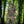 M-Tac Sniper T-shirt