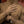 M-Tac Soft Shell Thinsulate Gloves