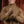 M-Tac Soft Shell Thinsulate Gloves