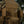 M-Tac Cover for Armored Vest Sturm Gen.II Elite