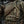 M-Tac Cover for Armored Vest Sturm Gen.II Elite
