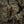 M-Tac Cover for Armored Vest Sturm Gen.II Elite