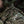 M-Tac Cover for Armored Vest Sturm Gen.II Elite