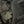 M-Tac Cover for Armored Vest Sturm Gen.II Elite