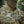 M-Tac Sturm Jacket Gen.II NYCO Extreme