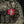 M-Tac Morale Patch Tactical TacMed PVC