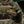 M-Tac Patch Real Tiger